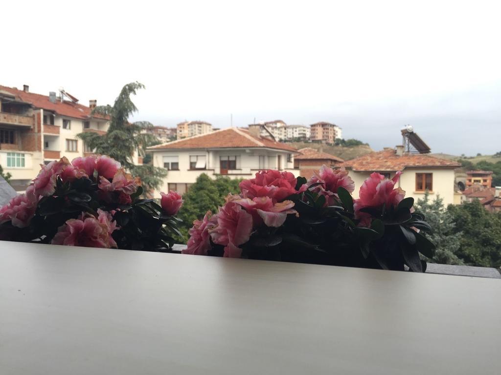 Bora Apartment Sandanski Chambre photo